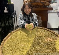 霍山铁皮石斛炖汤的做法大全,功效与作用用量是多少？