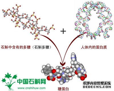 低血糖可以吃铁皮石斛吗？