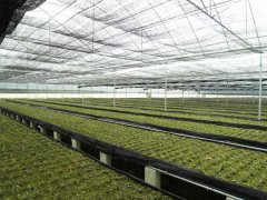 <b>广东永生源生物科技有限公司</b>