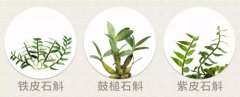 <b>石斛种类与作用</b>