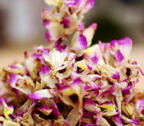 <b>金钗石斛花干花多少钱？</b>