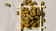 <b>野生铁皮石斛有什么特点？</b>