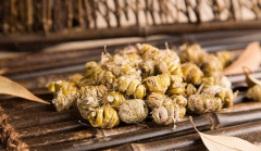 <b>瓦芍石斛汤的方剂和功效</b>