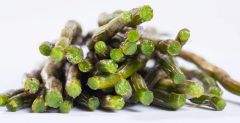<b>铁皮石斛常见吃法</b>