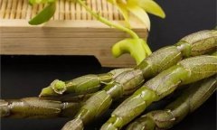 <b>“救命仙草”铁皮石斛你真的了解吗？</b>