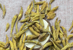 <b>金叉石斛现在什么价格？</b>