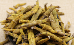 <b>特级金钗石斛多少钱？</b>