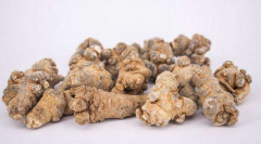 <b>铁皮石斛全基因组图谱绘就</b>