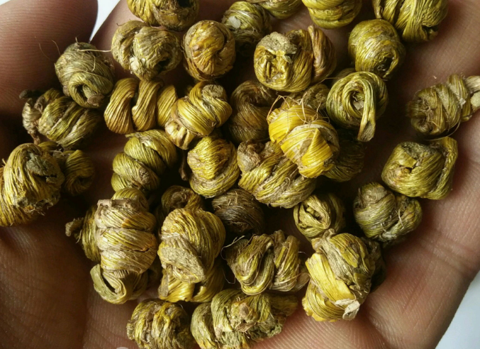 铁皮石斛,调理肠胃好助手! 铁皮石斛,调理肠胃好助手!