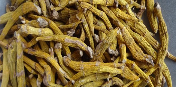 香妃海棠多少钱一斤啊