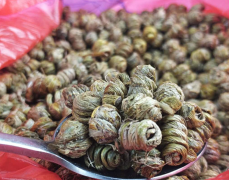 <b>雁荡山紫皮石斛批发多少钱？</b>