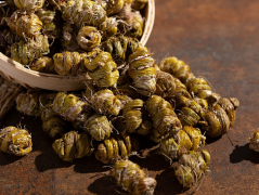 <b>仙草之首铁皮石斛最详细介绍</b>