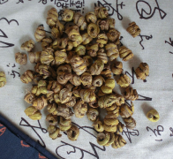 <b>哪些人不能使用铁皮石斛?</b>