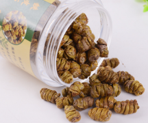 <b>怎样挑选出珍品铁皮石斛</b>