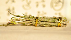 <b>铁皮石斛为什么也叫千年润?</b>