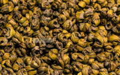 <b>紫皮石斛的特征及分布</b>