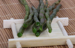 <b>补脾护肝，铁皮石斛为男性健康保驾护航</b>