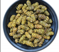 <b>铁皮石斛帮你留住美</b>