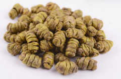 <b>铁皮石斛嚼着吃还是泡水喝</b>