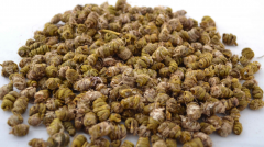 <b>这些食物切忌与铁皮石斛一起食用</b>