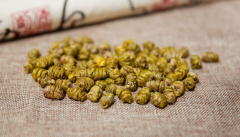 <b>铁皮石斛是治疗胃病的首选之物</b>