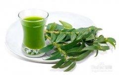 <b>石斛酒的药用有什么价值与功效！</b>