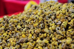 <b>铁皮石斛枸杞泡水喝的成效</b>