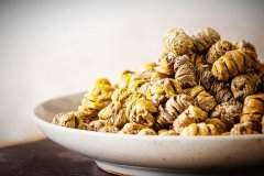 <b>铁皮石斛的药用价值</b>