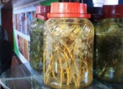 石斛酒的功效与作用