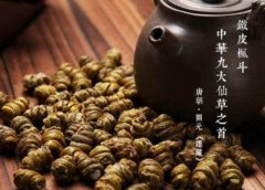 铁皮石斛茶叶有哪些功效？