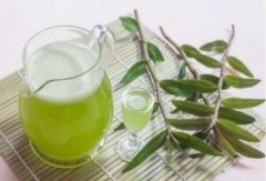 铁皮石斛对男人的好处？男人怎么吃才能健康