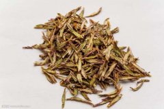 铁皮石斛干的好还是新鲜的好,鲜石斛怎么吃