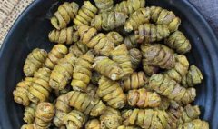 铁皮枫斗功效，并没有宣传中的那么神奇