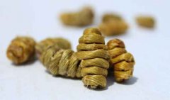 枫斗的功效与作用禁忌