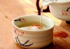 如何养石斛？板植，还是盆植？