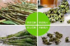 霍山石斛(米斛)与铁皮石斛的区别