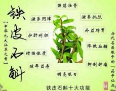 铁皮石斛功效真的是救命仙草吗?