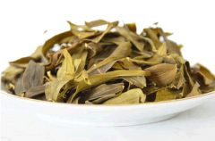 铁皮石斛叶子有什么功效?