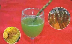 新鲜铁皮石斛怎么榨汁食用?