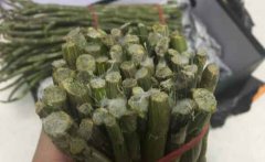 铁皮石斛发霉了还能吃吗,怎么保存不发霉？