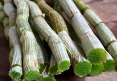 龙陵铁皮石斛批发价格，龙陵铁皮石斛价格多少钱一斤？