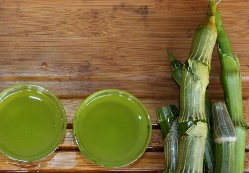 大苞鞘石斛图片