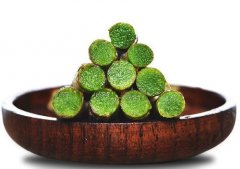 铁皮石斛的价格是多少钱一斤？