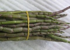 黑节草价格表，黑节草多少钱一斤？