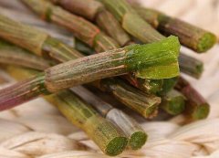 铁皮石斛鲜条具有什么样的特征？