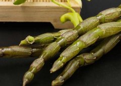 铁皮石斛与铜皮石斛有什么不同？