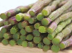 铁皮石斛与铁皮枫斗的区别？