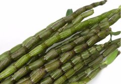 铁皮石斛鲜条的真假如何鉴别?