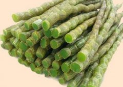 新鲜铁皮石斛保存的注意事项