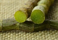 铁皮石斛鲜条的存储方式